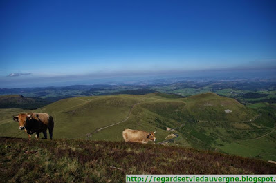 Le col de la croix Morand, Puy de Dôme.