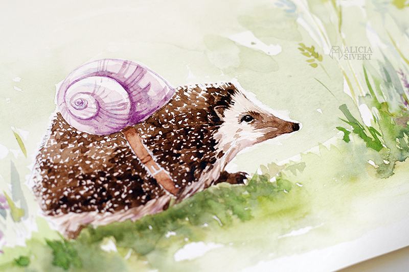 "Snigelkott" ("the Snedgehog"), water colour illustration by Alicia Sivertsson. konst alicia sivert alicia sivertsson aliciasivert art artist aquarelle akvarell måla målning målningar painting paintings illustration barnbok bok
