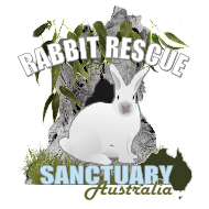 Rabbit Rescue Sanctuary: RABBIT SURRENDER