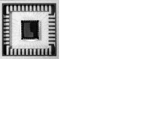 Pic Microcontroller programming Help.: Internal Structure