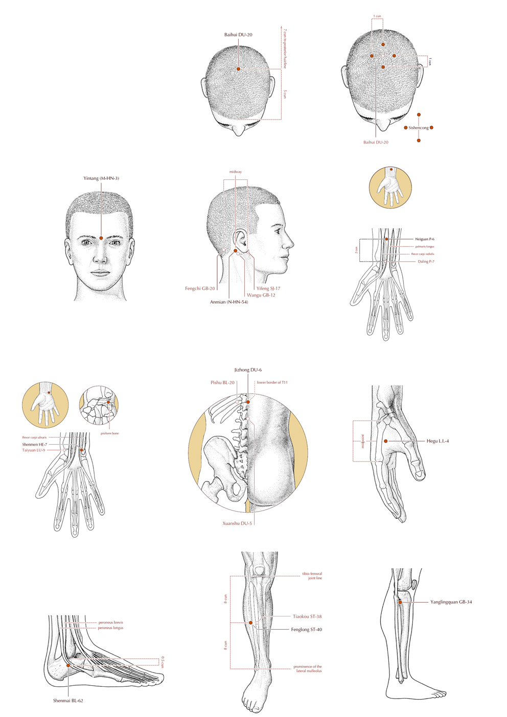 Acupuncture Masters Acupuncture Point Location for Epilepsy Grand Mal