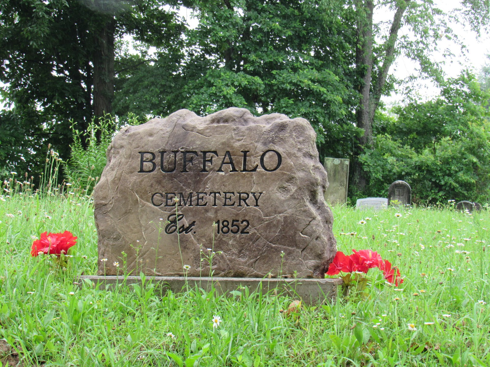 A Walk Through The Tombstones Buffalo Cemetery