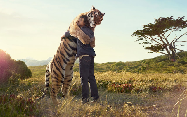 man and giant tiger hugging in field