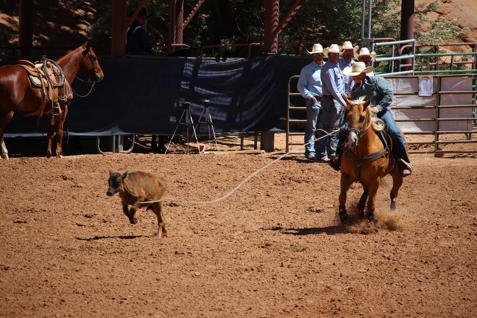 Armand's Rancho Del Cielo Rodeo Season In Gallup Starting