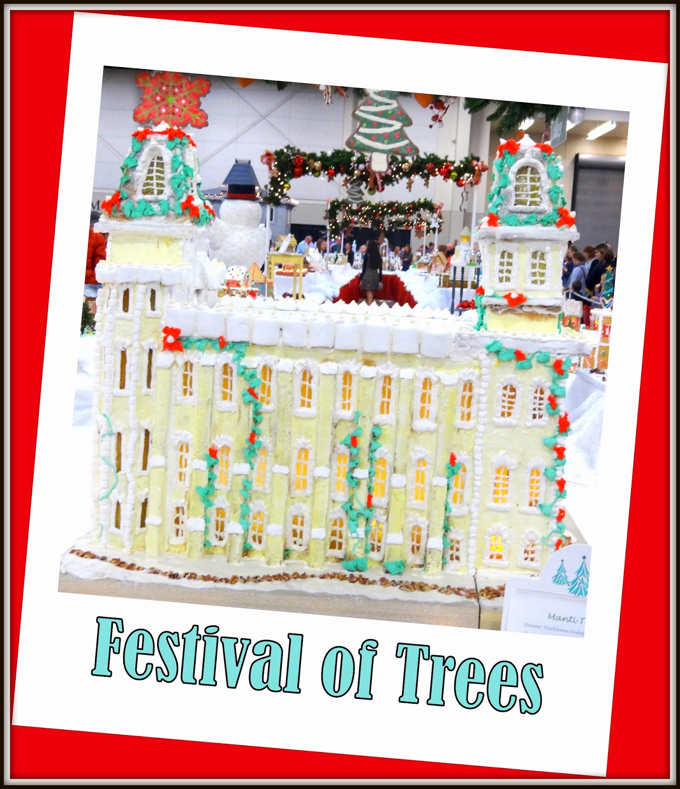 Live Christmas Trees Salt Lake City at Christopher Brecht blog