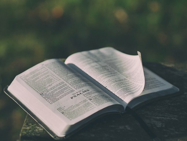 fot. Aaron Burden / unsplash.com CC0 1.0 fot. Aaron Burden / unsplash.com CC0 1.0