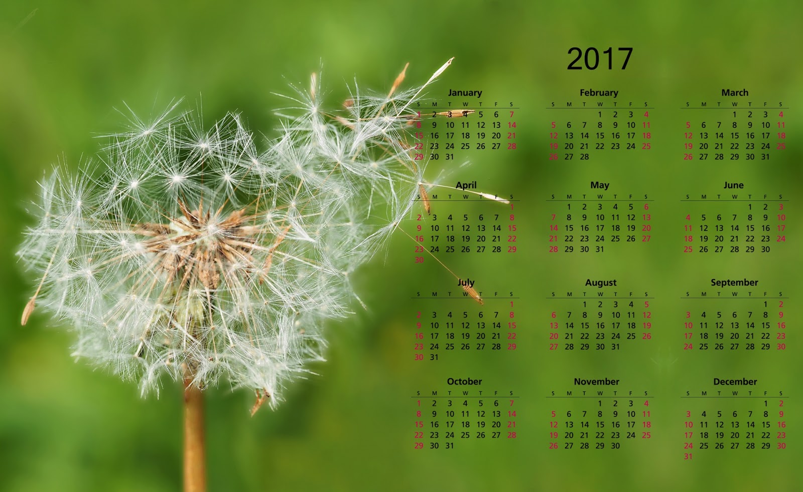 Cute 2017 Calendar Printable