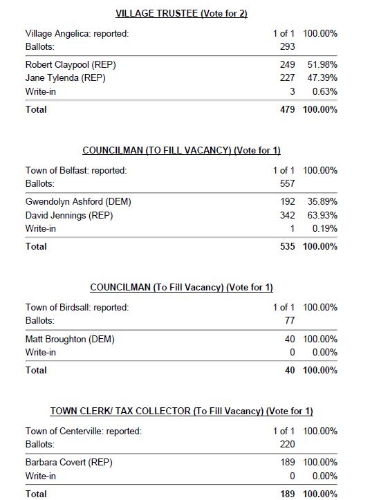 Wellsville Regional News (dot) com Allegany County Election Results