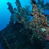 Tulamben, Tempat Diving Di Indonesia Favorit Penyelam Domestik dan Mancanegara