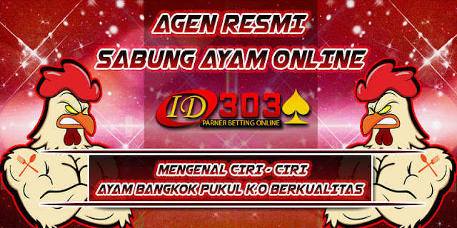 MENGENAL CIRI - CIRI AYAM BANGKOK PUKUL KO BERKUALITAS ayambangkok asli, ciri sisik pukul mati, adu ayam birma, download video sabung bangkok, bangkok super jalu, jalu super jahat, bentuk jalu mematikan, video jago tarung lengkap, video sabung bangkok, tarung bangkok pukul mati, bangkok super purwokerto, video tarung bebas sampai mati, adu jago birma, adu jago bangkok super, ayamlaga pukul mati 2014, mantra adu jago, bangkok aduan super, tarung jago birma, birma super jalu, blorok madu pukul mati, adu jago sampai mati, adu jago bangkok pukul mati, video adu jago, pakhoy ori, jalu renteng 3, cara meruncingkan jalu, pakoy top the best, adu ayam filipina, video ayam bertarung sampai mati, bangkok super cup 2015, adu ayam 2016, adu ayam bangkok super jalu, adu ayam betet, adu ayam bangkok di thailand, adu ayam bangkok terbaru, adu ayam bangkok youtube, adu ayam jago sampai mati, adu ayam laga, adu ayam sabung, adu ayam siam, adu ayam bangkok pukul ko, adu ayam sadis, adu ayam 5, adu ayam bali indonesia, adu ayam bangkok asli thailand, adu ayam bangkok ko, adu ayam bangkok muda, adu ayam bangkok terbaru 2015, adu ayam jawa