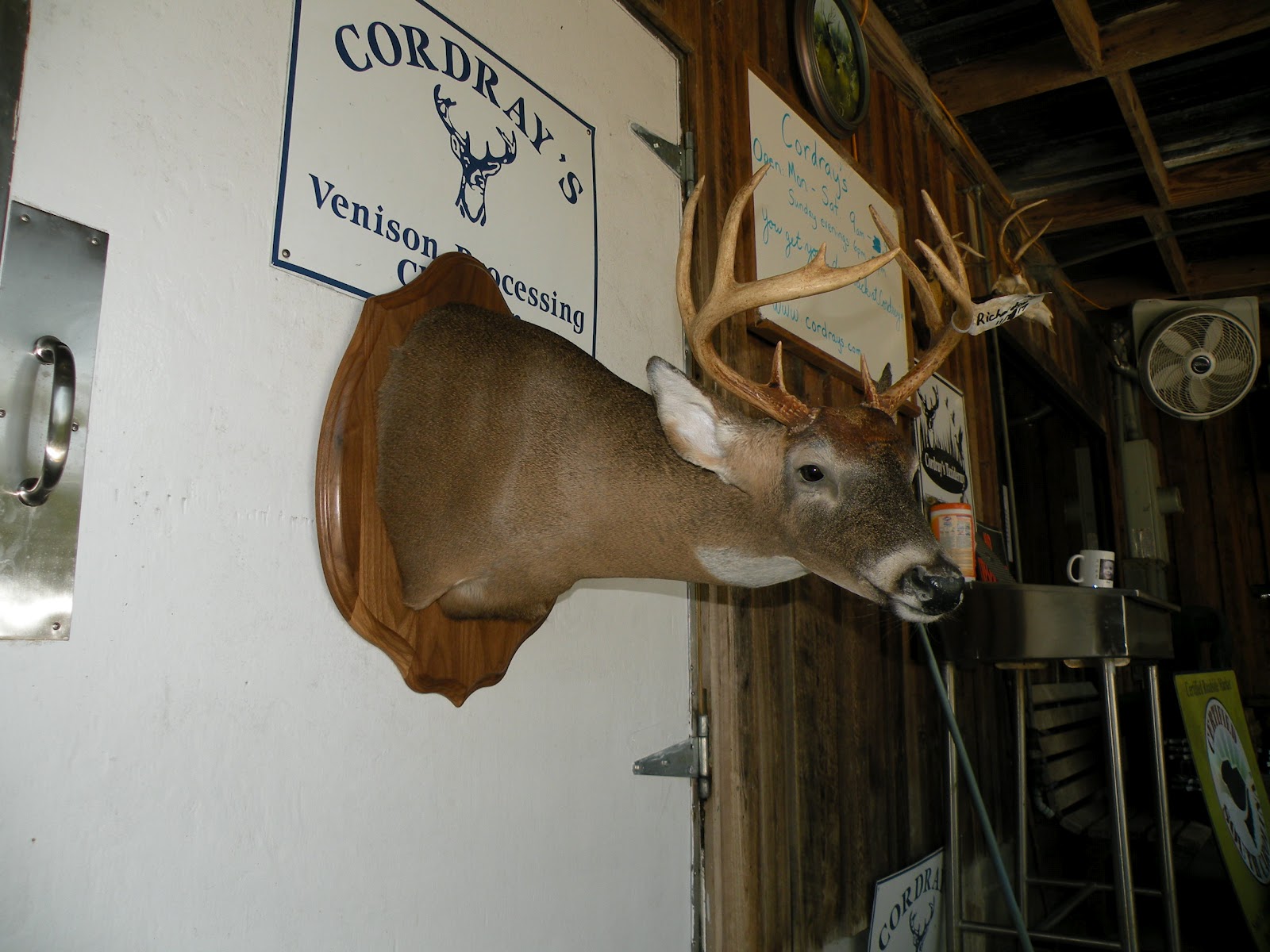 Cordray's Mr. Richardson's extreme sneak buck mount!