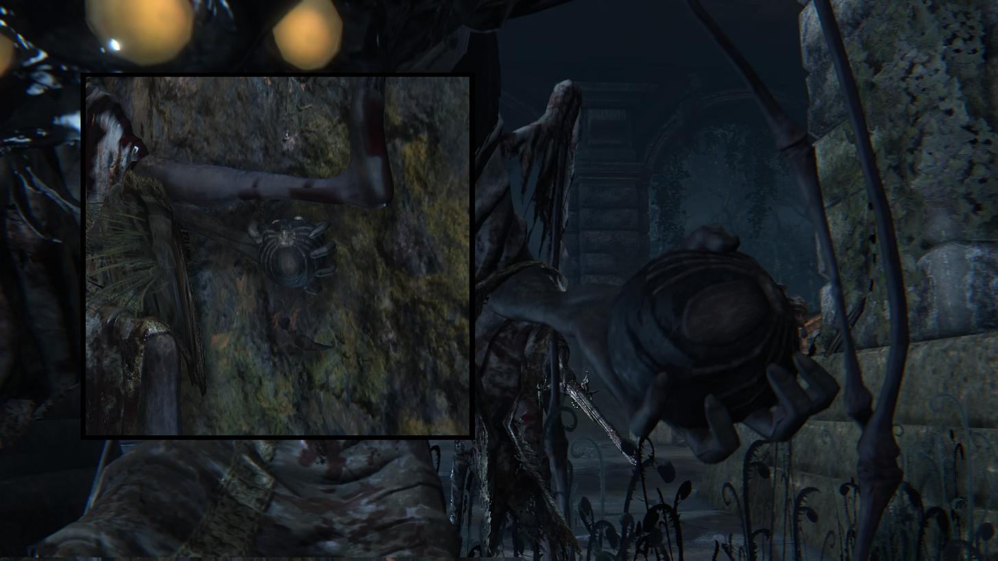 Garden of Eyes Bloodborne Wiki