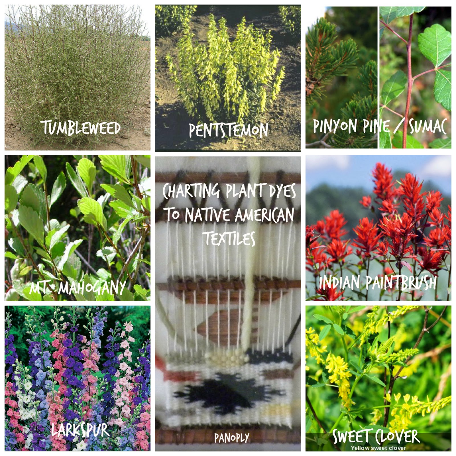  USDA: Natural Plant Dyes