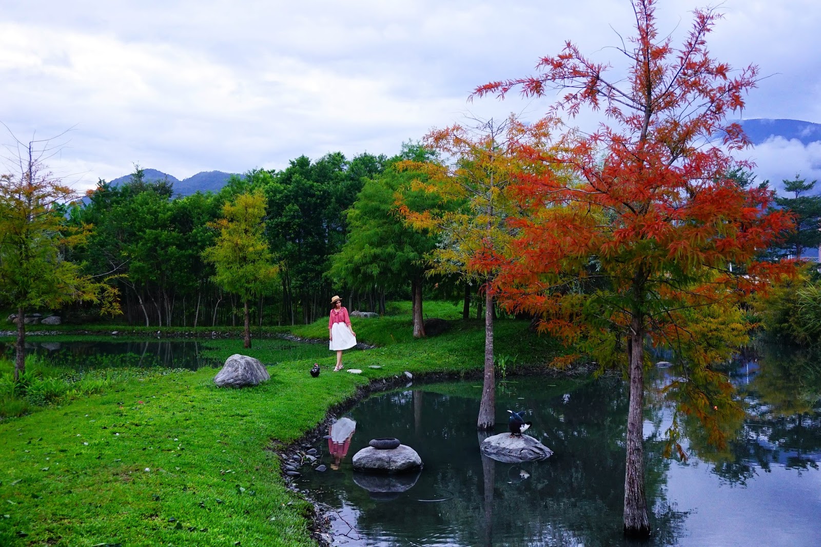 beautyanxiety.com-beautyanxiety.com-cultural-park-forest-DSC08892.jpg