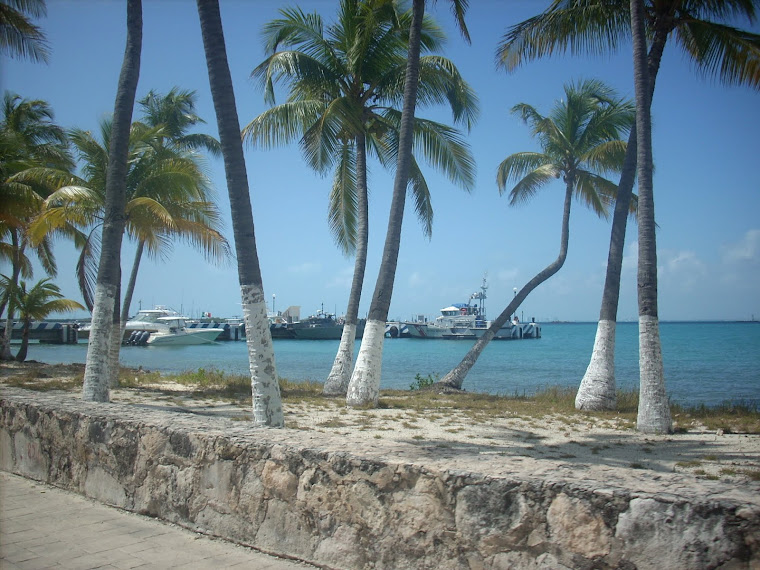 Mujer  amante del mar