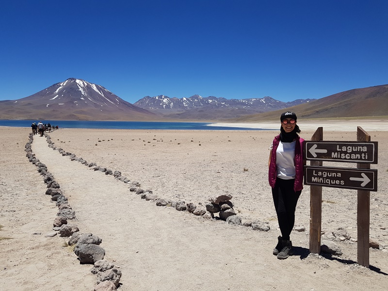 Lagunas Altiplânicas - Deserto do Atacama