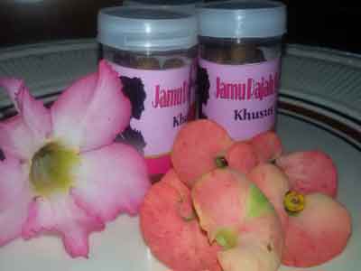 Jamu Rapet Rajah Sasak Jamu Rapet Rajah Sasak