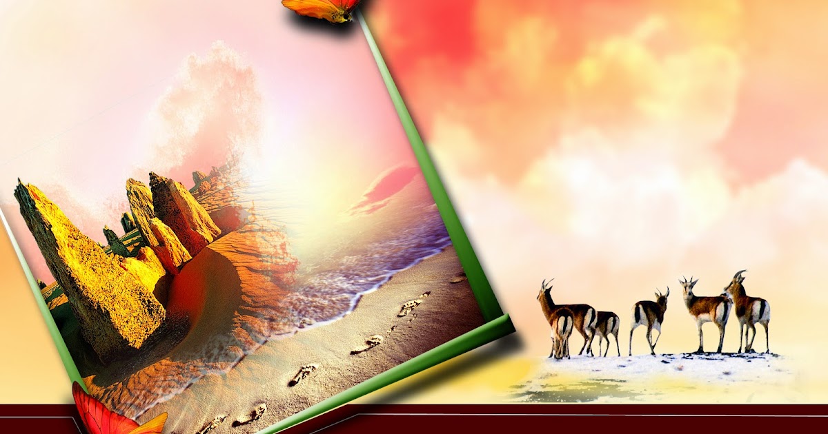 Photo Album Background Design | Topbackground