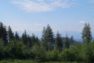 ku Starościńskim skałom