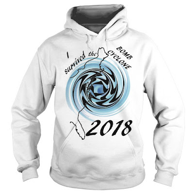 I Survived the Cold Weather Bomb Cyclone Storm T-shirt 