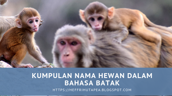 87+ Gambar Lucu Bahasa Batak 87+ Gambar Lucu Bahasa Batak