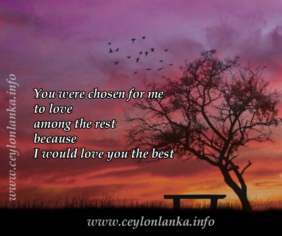 You were chosen for me to love among the rest because I would love you ...