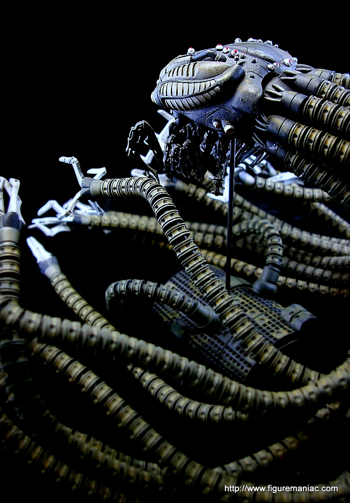 matrix sentinel mcfarlane