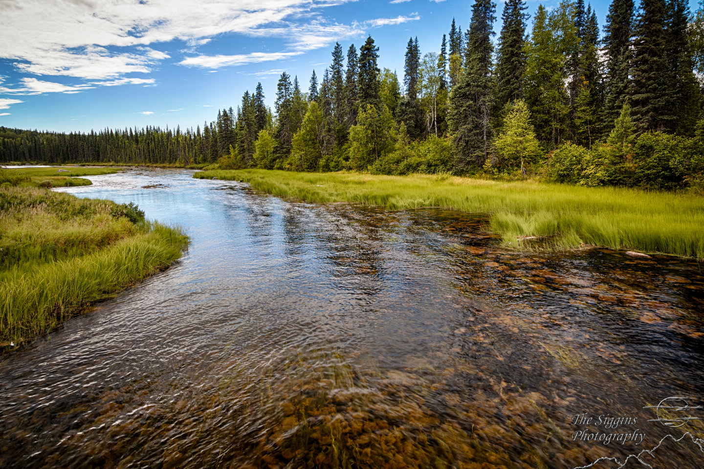 The Siggins Photography Blog Alaska Journeys Byers Lake