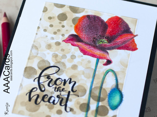 Pencils Coloured Pure Poppies from Create A Smile