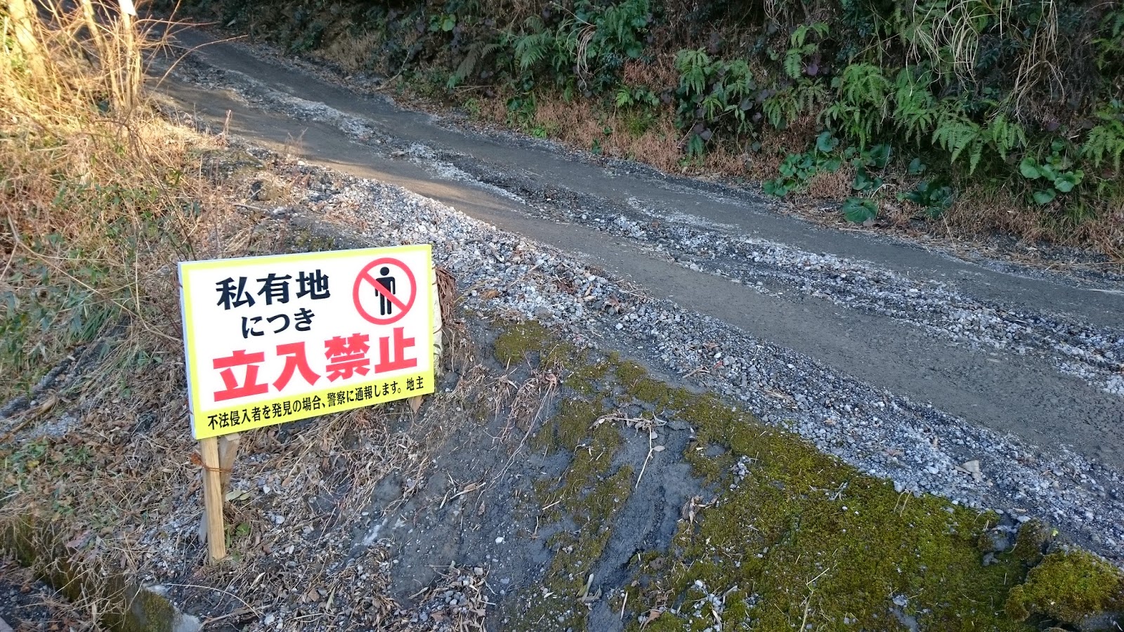 原告、被告、被告、原告: それぞれとその違い