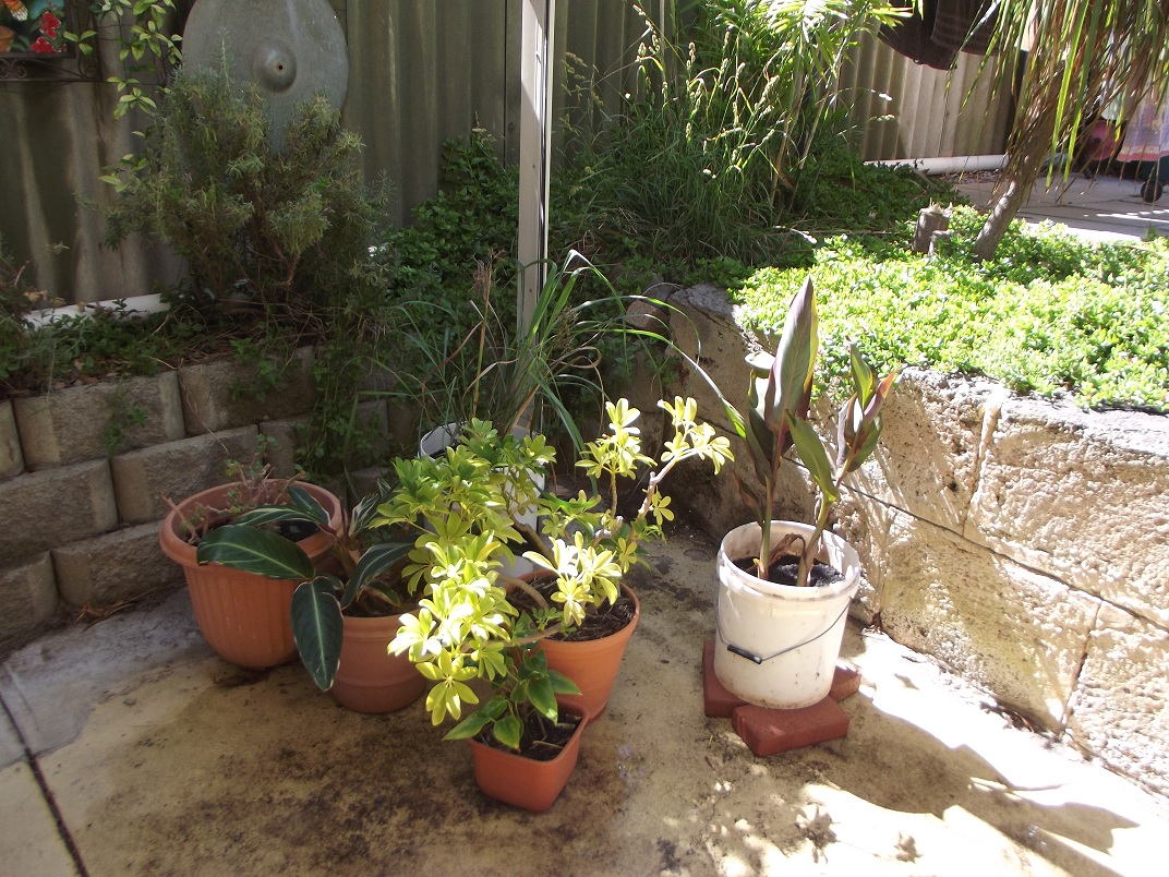 earthmotherwithin: January 2013