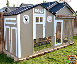our generation chicken coop 2