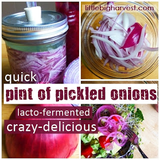 http://www.littlebigharvest.com/2015/06/quick-pint-of-pickled-onions.html