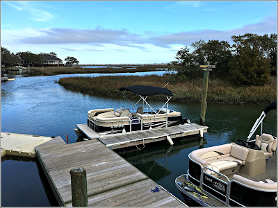 Myrtle Beach February 10, 2019 Murrells Inlet and Pelicans