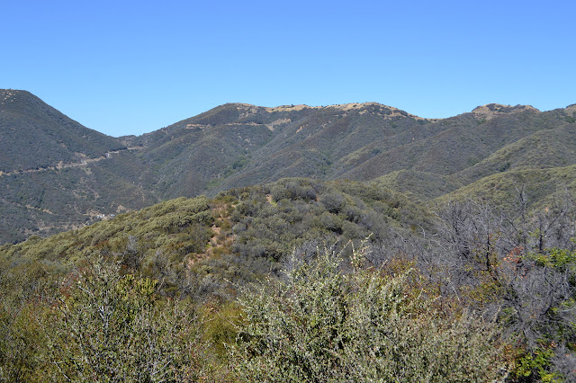 above Flores Flat