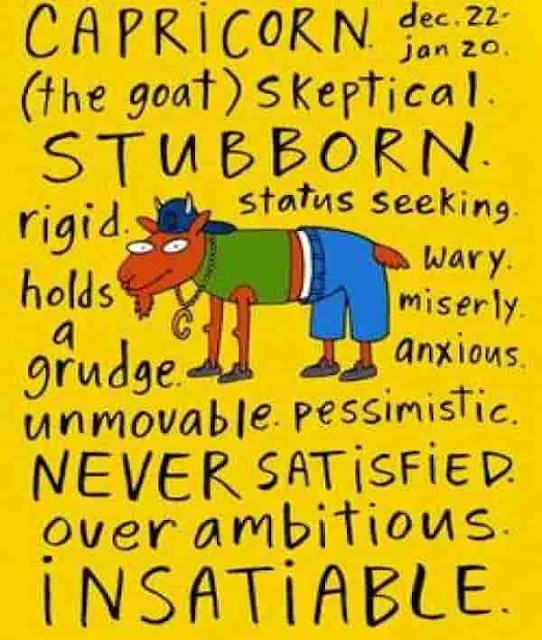 Capricorn, Astrology, Horoscope Zodiac Sign