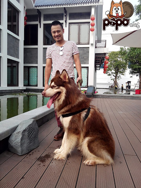 Alaska Phi Phước Alaska Phi Phước