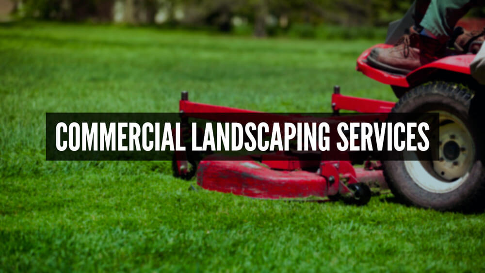 Professional Residential And Commercial Landscaping Services - Professional Residential And Commercial Landscaping Services