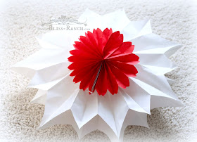 Star Decorations Made From Paper Lunch Bags, Bliss-Ranch.com