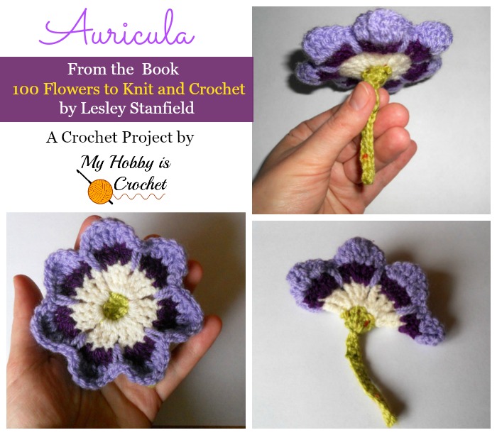 Crochet Flower Box - Stanfield, Lesley: 9781782210535 - AbeBooks
