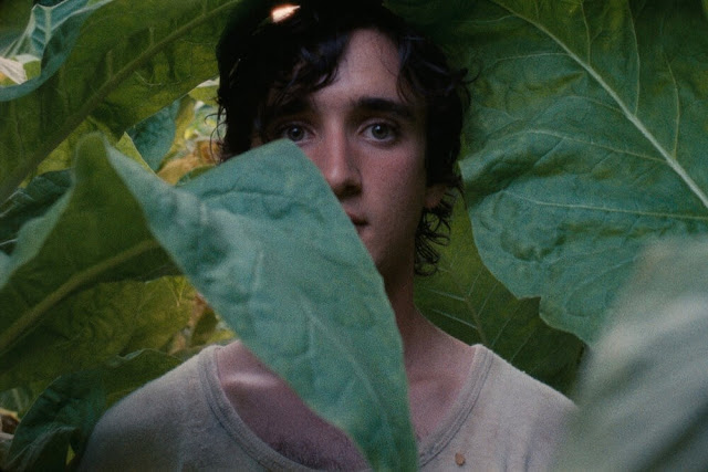 Šťastný Lazzaro (Lazzaro felice) – Recenze