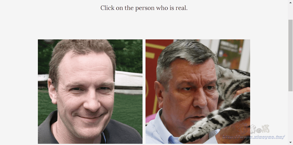 Which Face Is Real?分辨真假人臉