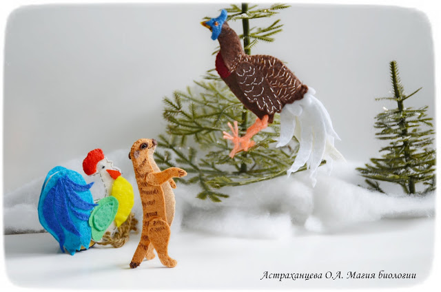 palchikovyj-teatr-KOAPP-fazan-surikat-petuh