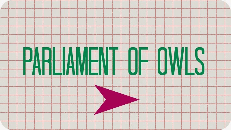 Parliament Of Owls