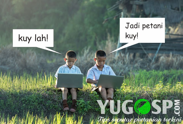 peluang ide bisnis pertanian perikanan peternakan startup