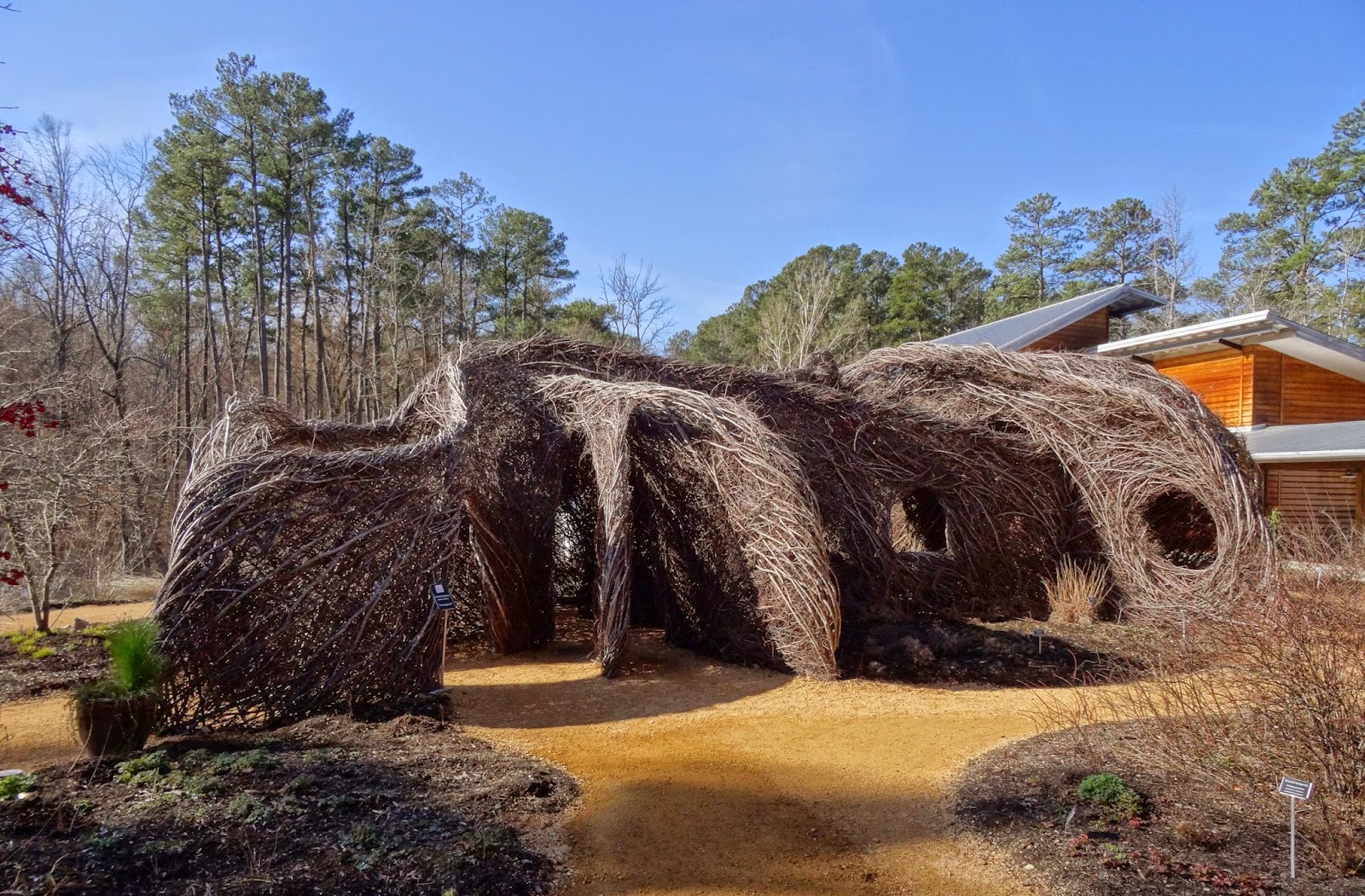 Femme au foyer The North Carolina Botanical Garden