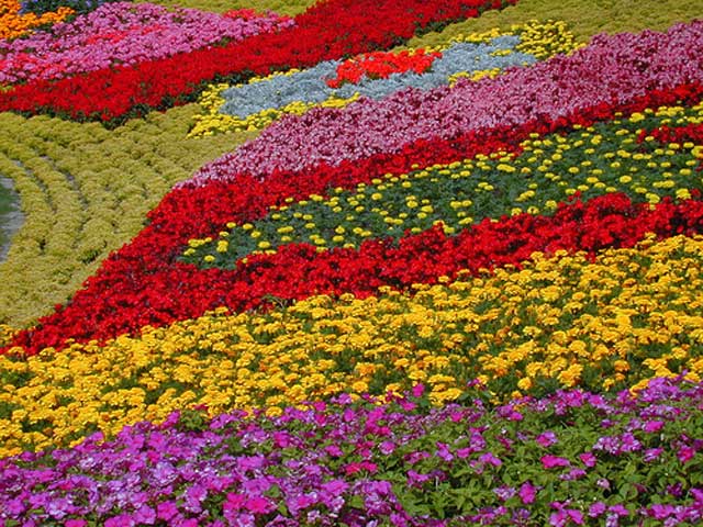 flower garden design