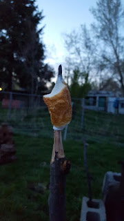 Melty roasted marshmallow Melty roasted marshmallow