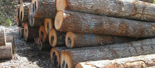 kayu