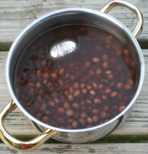 book правильная посадка и пересадка деревьев и кустарников